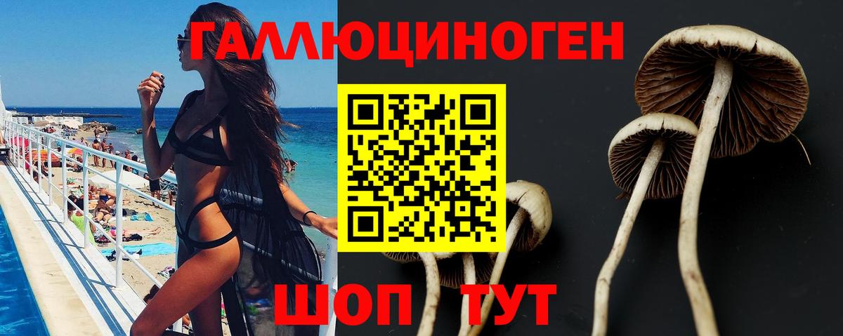 Люберцы  Псилоцибиновые грибы Psilocybe  Вход с VPN  Псилоцибиновые грибы GOLDEN TEACHER 