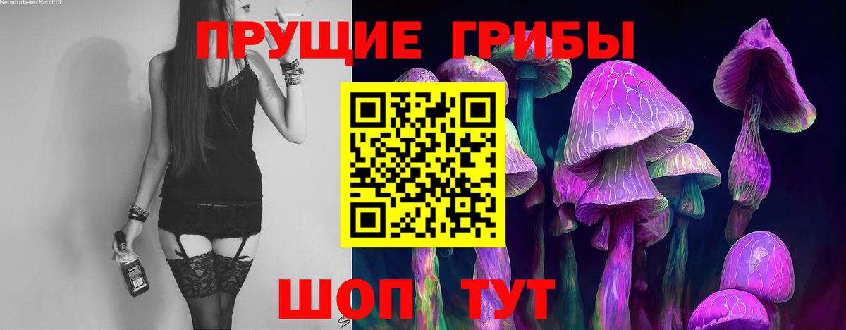 Галлюциногенные грибы Psilocybine cubensis Люберцы
